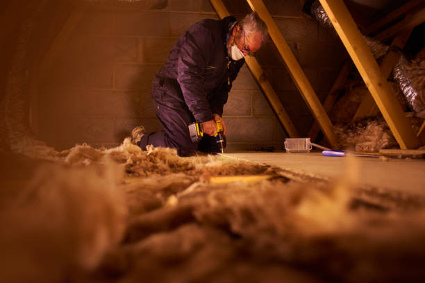 Best Insulation Maintenance and Repair in Edgewood, IN